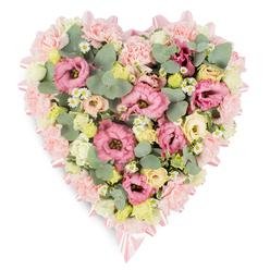 A meticulously arranged heart-shaped wreath rests on a stark white surface, allowing every flower and ribbon to stand out with clarity and calm. The heart's perimeter is built from closely packed pale pink carnations, their ruffled petals forming a soft, cloud-like edge that makes the outline instantly recognisable. Tracing just inside this border, a delicate blush satin ribbon glides around the shape, its subtle shimmer catching the eye where it gathers into neat bows at the upper curve and the lower point of the heart. Within the border, the arrangement is lush and abundant, with no empty spaces, creating a comforting feeling of fullness. Pink lisianthus, some in gentle pastel tones and others leaning towards rosy fuchsia, open generously across the design, their layered petals giving an almost velvety texture. Among them, clusters of creamy yellow and pale ivory spray roses, or smaller lisianthus blooms, bring soft highlights and a sense of gentle light. Fine, white daisy-like flowers with bright yellow centres are scattered throughout, their simple faces recalling chamomile or feverfew growing along a garden path. Between the blossoms, sprigs of eucalyptus in a cool, silvery-green hue mingled with darker, variegated foliage add depth, calm colour contrast, and a slightly wild, natural touch. The overall impression is of quiet, heartfelt beauty-a piece that might be chosen by a family in Tufnell Park saying a last goodbye at a local church or crematorium, or after a reflective walk along the paths of Waterlow Park. Crafted with the attentive hands of a local florist, this heart-shaped tribute symbolises love, remembrance, and the gentle act of honouring a life.