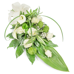 Presented on a neutral white field, this elongated cascade of whites and greens has the refined restraint of a memorial spray while feeling quietly contemporary. Several creamy white roses-petals layered like soft porcelain-cluster toward the center, their subtle fragrance mingling with the clean, almost green scent of freshly cut foliage. Two white Calla lilies rise with architectural clarity, their trumpet shapes lending sculptural purity to the silhouette. Bright lime-green button chrysanthemums, dense and spherical, punctuate the arrangement with lively texture and visual contrast, while delicate sprigs of Gypsophila float like soft breath among the larger blooms. The greenery is generous and varied: deep glossy leaves offer solidity, lighter variegated leaves with white striations create a gentle shimmer, and feathery fern fronds soften the crown. Two long, bright-green blades sweep and arc across the top, instilling a sense of movement that guides the eye down to the tapered end, where a single broad, bright-green tropical leaf forms a sleek pointed tail. At the upper left a wide, cream ribbon bow with a subtle matte weave gives a final touch of formality. Texturally this spray balances silky calla surfaces, the velvet of roses, the tactile pop of chrysanthemum buttons and the whisper of filler-an arrangement meant to be both seen and quietly felt. As a local piece mindful of place, it suits condolence gestures and services across Tufnell Park and nearby Dartmouth Park, reflecting the neighbourhood's understated elegance and calm.