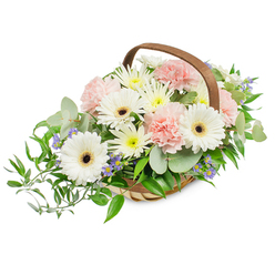 A bright, carefully composed floral basket arranged with the balance and care of a seasoned Tufnell Park florist. In the centre, several immaculate white Gerbera daisies stand proud, their wide petals opening to reveal deep brown to nearly black centres that anchor the bouquet with graphic contrast. Around them, clusters of soft blush-pink carnations ripple like frothy clouds, offering a warm, romantic texture that invites the hand to linger. Filling and softening every space are numerous small white and pale-yellow daisy-like blooms-likely spray chrysanthemums-whose compact heads create a lush, cushiony base. Tiny, star-like purple-blue blossoms are sparingly dotted through the arrangement, introducing cool, jewel-toned highlights that lift the palette. The greens are thoughtfully layered: rounded, silvery eucalyptus leaves offer a clean, aromatic veil, while darker glossy ruscus branches sweep outward and down the left side to create a graceful, trailing line. Everything is set in a light-coloured woven willow basket with a sturdy, curved wooden handle, its artisanal weave visible beneath the blooms. Even, soft lighting bathes the scene, accentuating petal textures, the subtle sheen of leaves, and the handcrafted quality of the composition. Ideal as a comforting sympathy tribute, an understated celebration piece, or a welcoming gift for a Tufnell Park home near Fortess Road or the Junction, this arrangement reflects neighbourhood sensibility and local care-available for personalised delivery by Flowers Tufnell Park across the surrounding streets.