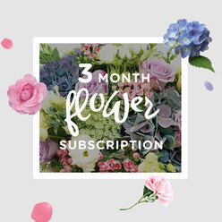 A softly lit bouquet from an ongoing three-month subscription sits as the quiet focal point of a Tufnell Park interior, perhaps on a dining table overlooking one of the leafy side streets off Fortess Road. The arrangement is built around plush blue hydrangeas, their rounded heads forming a cool, cloud-like base that draws the eye inward. Nestled among them are roses in tender shades of blush pink and muted lavender, each bloom unfurling in elegant spirals, the petals slightly curled at the edges as if caught mid-sigh. Slender stems of lisianthus add airiness, their frilled petals and delicate buds lending an almost weightless texture, like little wisps of colour floating above the main blooms. Fresh greenery fills out the composition, the leaves a mixture of smooth and slightly serrated edges, catching the soft light and bringing a sense of garden freshness, reminiscent of early mornings in Tufnell Park's quieter courtyards. The colours hold to a pastel story-cool blue, rose pink, gentle lilac, and clean green-creating a calm, harmonious impression that feels soothing rather than showy. The bouquet's shape is relaxed yet thoughtfully arranged, with height and depth carefully balanced so it looks beautiful from every angle, whether placed in a hallway or near a reading chair by the window. Imagining this as part of a subscription, there is a comforting rhythm implied: each month, a similar cascade of cool tones and tender blooms arriving at your door, turning the simple act of flower delivery in Tufnell Park into a recurring gesture of warmth, contemplation, and quiet celebration.