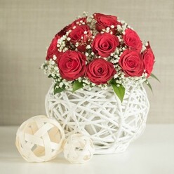 A sumptuous cluster of red roses rises like a jewel-toned dome from a sculptural white vase, the kind of refined table arrangement you might see gracing a wedding reception near Tufnell Park's leafy streets. Each rose is fully opened, petals layered and spiralled with meticulous care, their deep crimson colour rich and velvety, recalling the glow of candlelight on a winter evening. Between the roses, airy sprays of tiny white gypsophila create a soft, cloudlike veil, breaking up the intensity of the red and giving the design a gentle, romantic lightness. Sparse, glossy green leaves peek out at the edges, suggesting fresh stems nestled securely inside. The bouquet is cradled in a rounded, basket-like vase, its surface formed from criss-crossing white strands that twist and loop in an open-weave pattern. This intricate, handmade look feels both modern and artisanal, echoing the creative spirit of local florists working near Brecknock Road and the quieter corners of Tufnell Park. Resting on the clean, pale surface beside the vase sit two woven decorative orbs in soft, natural tones, one large and one small. Their open latticework echoes the vase's structure and adds visual rhythm, as if the whole composition has been thoughtfully staged on a stylish dining table ready for guests. The background is an understated, blurred wall in light beige, providing a calm, neutral canvas that allows the roses to command attention. Gentle, even lighting enhances every texture-the satin sheen of petals, the feathery baby's breath, the tactile weave of the vase-making this arrangement perfect for romantic dinners, civil ceremonies, or intimate celebrations hosted around Tufnell Park.