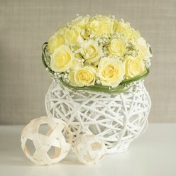 An elegant dome of pale yellow roses forms the heart of this sophisticated table arrangement, the blooms clustered closely together so that only their velvety petals and gentle curves are visible. Each rose is a soft buttery shade, like morning light along the tree-lined streets around Tufnell Park, with the slightest hint of deeper gold at the centre. Between the roses, delicate tufts of white gypsophila emerge, their countless tiny blossoms creating a misty, cloud-like veil that brings a sense of airiness and romance, perfect for a wedding reception or engagement dinner. A slender band of rich green foliage, possibly flat woven leaves or polished blades of grass, encircles the base of the bouquet in a neat ring, lending structure and a fresh, botanical accent. Supporting this floral dome is a distinctive white woven vase with an open, airy design reminiscent of contemporary wicker; its interlaced strands form soft curves and negative spaces that allow light to filter through, producing intricate shadows on the pristine white table surface below. In front of the vase, a pair of natural-toned rattan-style spheres, one medium and one small, rest casually yet purposefully, repeating the open weave motif and tying the composition together. The background is a gentle wash of warm beige, slightly textured and out of focus, evoking the calm interior of a stylish Tufnell Park townhouse. The overall mood is tranquil, refined, and joyfully understated, a centerpiece that would sit beautifully on long trestle tables for celebrations, civil ceremonies, or weekend gatherings across this corner of North London.