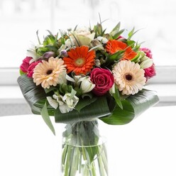 Infused with the urban elegance of Tufnell Park, this expertly arranged bouquet blends contemporary flair with natural exuberance. Gerbera daisies in warm orange and dreamy peach set the tone, bursting cheerfully from the heart of the arrangement. Tightly-coiled magenta roses lend a classic romantic touch, their deep hue balanced by sprays of luminous white alstroemeria and delicate filler blossoms. The clear glass vase elevates the presentation, revealing vibrant stems and echoing the fresh, modern feel of Tufnell Park's homes along Brecknock Road. Substantial, glossy aspidistra leaves-meticulously wrapped at the base-frame the vivid display, their paddle-shaped forms adding bold structure and a touch of organic drama. Fine greenery, artfully threaded between the blooms, supplies texture and contrast, inviting the eye to linger. Light plays softly across every petal, enhancing saturation and bringing each shade to life against a diffused, neutral background. The result is a bouquet alive with optimism: a composition designed by a local florist and ideal for same-day delivery throughout Tufnell Park and beyond-whether for a joyous celebration, an impromptu gift, or simply to brighten a table near the station. Each flower's placement and the harmonious palette reflect both craftsmanship and genuine care, evoking the distinctive spirit of this North London neighbourhood.