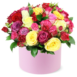 From a sunlit corner in Tufnell Park, this radiant hat-box bouquet becomes a portable celebration. Roses of every hue-bright yellow like morning light, blush pink, candy-fuchsia, magenta, lavender, creamy white, and the deep drama of crimson-are woven into a lush, overflowing dome that spills softly over the pastel pink cylinder. Each bloom bears a personality: large, fully opened blooms with velvet petals; smaller spray roses and delicate buds tucked in for texture. Dark green leaves provide a crisp frame, their gloss catching the light and hinting at the garden's freshness. The pastel-pink box with its smooth matte surface reads as both gift and modern design object, a graceful fusion of romance and contemporary style. Against a white background, the bouquet radiates warmth and invitation. This arrangement speaks of care and joyful intention-ideal for birthdays, anniversaries, or simply to say "you're loved." Available for same-day delivery across Tufnell Park and surrounding streets, it brings a lift to any room and a lingering rose scent that whispers of thoughtfulness and community. A refined choice from a local North London florist, crafted with patient hands and an eye for detail.