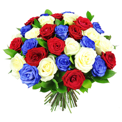 A full, rounded bouquet of roses in vivid red, gentle white, and saturated royal blue fills the image, creating an immediate impression of unity and celebration. The roses are tightly clustered yet individually distinct, each bloom with layers of satiny petals curling softly at the edges, some just beginning to unfurl from bud stage. The deep red roses anchor the design with richness, the creamy white roses soften the overall look, and the blue roses bring an unexpected modern flair that calls to mind patriotic gatherings and meaningful commemorations. Threads of dark green foliage weave between the blossoms, their polished leaves adding shadows, depth, and a sense of movement to the composition. At the base, a clean bundle of firm green stems is gathered and trimmed straight, a hallmark of a professionally crafted hand-tied bouquet you might see carried down Tufnell Park's smaller side streets on the way to a family celebration. The bright white background removes all distractions, allowing the tri-colour dome of flowers to almost float in space, its colours intensified and mood uplifted. The bouquet seems ideal for local events around Tufnell Park, from quiet remembrance services to jubilant national holidays, or simply to brighten a dining table overlooking Tufnell Park Fields. It conveys pride, gratitude, and affectionate respect, making it suitable for honouring someone's service, celebrating a personal achievement, or sending a heartfelt message of support within the close-knit community of nearby Kentish Town and Archway.