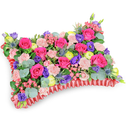 From a slightly raised, side-on viewpoint the image reveals a meticulously made funeral pillow, a compact rectangle of blooms that reads as both a floral cushion and a visual embrace. A chorus of hot pink roses leads the composition-lush, velvety heads arranged with careful spacing so their shapes interlock and create continuous colour. Pale pink carnations provide a frilly, soft counterpoint, their ruffled edges cushioning the stronger forms. Scattered among them are sunny lemon-yellow ranunculus and bold purple lisianthus, each bringing a distinct note to the bouquet's palette and ensuring the overall impression is celebratory rather than austere. The cooler, steel-blue spikes of eryngium thistle add a sculptural, textural contrast; they are placed to catch the light and punctuate the softness. Sprays of silvery eucalyptus and varied green fillers nestle in and around the flowers, giving depth and a fragrant, slightly menthol undertone when the pillow is close-up. The whole sits on a rich, deep-red pleated satin border that is tightly gathered to form a ruffled edge, defining the pillow's shape with formal dignity. The photograph's white background and soft, diffuse lighting highlight the colour saturation and the craftsmanship of the wiring and foam work beneath. As a local florist in Tufnell Park, Flowers Tufnell Park designs pieces like this for memorials on Fortess Road, services at nearby chapels, or respectful deliveries to homes in Junction Road and Holloway, offering a comforting mix of colour and reverence for those marking a farewell.
