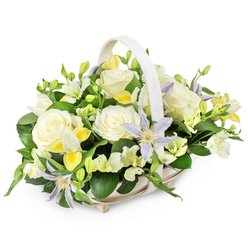 A light, natural wicker funeral basket rests on a clean white surface, its pale beige handle arching smoothly over a carefully composed bed of flowers that feels perfectly at home in quiet corners of Tufnell Park. The arrangement is lush yet composed, built around several large, creamy white roses whose velvety petals curl outward in soft, generous layers, radiating purity and gentle respect. Between these focal blooms, star-shaped clematis in pale lavender and periwinkle blue reach outward on slender stems, their yellow-green centers glowing like small beacons of hope amid the more muted tones. Nestled alongside are clusters of smaller white and pastel yellow blossoms, similar to freesias and lisianthus, some tightly budded, others fully open, adding a subtle sense of time passing and memories unfolding. The flowers are cradled by deep green foliage, with both broad, glossy leaves and more delicate sprigs creating contrast, shadow, and a natural frame for the lighter petals. The overall effect is one of soft luminosity and calm reflection, as if filtered by gentle north London light coming through a chapel window near Tufnell Park station. This basket feels especially suited to a funeral, memorial, or sympathy delivery to a family home, its pastel palette and refined textures offering solace without overwhelming the senses. Every stem has been placed with care, suggesting the quiet craftsmanship of a local florist who understands how to express love, remembrance, and support when words are hardest to find.