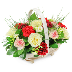 A softly lit funeral flower basket sits alone on a white background, its colours gentle yet reassuring, much like the calm corners of Tufnell Park on an early morning. The arrangement is cradled in a light, natural wooden basket with a shallow oval body, subtle little feet, and an arched handle that frames the flowers without overshadowing them. Within this frame, the blooms rise in a full, rounded mound, carefully composed to look abundant but never crowded. Creamy white roses are the focal point, their petals opening in quiet, layered spirals that evoke peace and grace. Around them, rich red carnations add a deeper, more contemplative note, their frilled petals catching the light and giving texture to the composition. Softer pink and bi-coloured carnations, brushed and edged with rose-red tones, weave between the stronger colours, easing the contrasts and suggesting gentle affection. Fine sprays of small white blossoms, similar to freesias, break up the density of the larger flowers, introducing a sense of air and clarity. Deep green, glossy leaves form a protective collar at the base, while feathery fern-like fronds emerge here and there, lifting the arrangement and preventing it from feeling heavy. Every element is positioned with the kind of care you would expect from an experienced neighbourhood florist, mindful of the sensitivity of funeral tributes delivered to local chapels and homes around Tufnell Park. The overall effect is one of quiet dignity and warmth, a supportive presence that offers comfort, remembrance, and a gentle nod to enduring love.