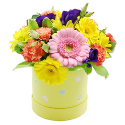 This Easter hatbox arrangement captures the feeling of early spring in Tufnell Park, with its fresh, clear tones and joyful mix of blooms gathered tightly into a rounded, generous dome. At the centre is a prominent light pink Gerbera daisy, its wide, daisy-like face framed by layers of slender petals that soften toward the edges, and a cool green central disc that adds a crisp, modern touch. Surrounding it, clusters of sunny yellow chrysanthemum-type flowers spill outwards, their many fine petals catching the light and creating the impression of warm sunshine filtering through trees in nearby Tufnell Park's quiet streets. Threaded between these bright notes are coral-orange carnations, their frilled, slightly curled petals packed densely to form soft, cushiony blossoms that lend a comforting, almost nostalgic charm. Deeper accents of rich purple lisianthus are tucked in thoughtfully, their satin-like petals folding in elegant spirals that draw the eye deeper into the arrangement and give it a sophisticated edge. Fresh green foliage, some leaves smooth and solid, others delicately variegated with paler margins, fills any gaps, giving the design structure and a sense of natural abundance. All of this sits securely in a pastel yellow cylindrical hatbox, gently tinted with a hint of lime, its sides decorated with whimsical pastel Easter eggs in pale blue, pink, and white, detailed with fine dots and stripes. Set against a pure white background, the arrangement feels clean, bright, and full of life, ideal as an Easter table centrepiece or a seasonal gift for friends and family around Fortess Road, Brecknock Road, and the wider Tufnell Park area, where same-day spring flower delivery is often needed for last-minute celebrations.