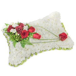 A delicate rectangular pillow of flowers, artfully constructed from a dense field of pristine white chrysanthemums, forms the base of this sympathy tribute. Each tiny chrysanthemum head is placed so closely that the surface becomes velvety and uniform, a tactile blanket of white that evokes peace and rest. Around the edge a narrow band of light green ribbon or foliage peeks through, providing a neat, subtle outline that softens the silhouette. Anchoring the composition on the upper left is an elegant cluster of deep red roses and richly hued carnations; the roses range from tight buds to open, velvety blooms, while the carnations' frilled petals add sculptural texture. Interspersed among the red flowers are small white accent blooms - likely freesias or spray chrysanthemums - which add delicate highlights and a gentle contrast.

Behind and among the blooms, fresh green foliage - slender fern fronds and glossy leaves - gives weight and coolness to the grouping. Three graceful arcs of bright green bear-grass or similar linear foliage sweep diagonally across the pillow, visually linking the top cluster to the right side. There, a single prominent red rose rests at the lower right, seemingly held by the curving green lines, a quiet emblem of enduring affection. The scent is subtle: a clean chrysanthemum base softened by the faint sweetness of rose. As a seasoned local florist I arrange pieces like this for wakes and services in Tufnell Park and nearby Dartmouth Park; Flowers Tufnell Park can prepare and deliver a similarly composed cushion for funeral tributes with sensitivity and care.