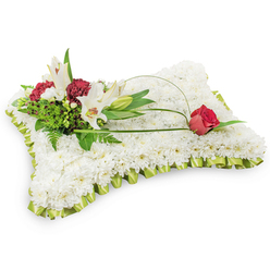 A gracefully crafted rectangular sympathy pillow composed entirely of tiny white chrysanthemums, each bloom tightly set to create a uniform, soft surface that reads like a folded blanket of flowers. The edges are finished with a neat, pleated pale lime-green satin ribbon that catches light with a muted sheen and defines the cushion's gentle shape. On the upper left, a naturalistic cluster forms the arrangement's emotional centre: two pristine white Oriental lilies stand open to reveal their yellow stamens, a closed lily bud suggests unfolding peace, and deep burgundy spray carnations introduce a warm, solemn contrast. Lush foliage - including delicate fern fronds and broader verdant leaves - lifts the cluster with texture and tone, while a slim, arching loop of green salal or fine decorative wire arcs across the chrysanthemum field. At the far right of that curve, a single deep red rosebud nestles against the white surface, its rich colour and tight form speaking of lasting love and quiet tribute. The scent of the lilies is suggested in the arrangement's layered depths, while the chrysanthemums offer both visual calm and tactile softness. As a local Tufnell Park florist we often place pieces like this in settings from small chapel services by Fortess Road to memorials near Archway; Flowers Tufnell Park prepares each cushion with careful floral technique, mindful of the comforting mood appropriate for a funeral, wake, or remembrance gathering and suitable for local delivery within the neighbourhood.