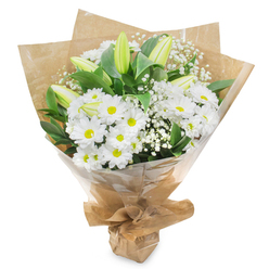 Set against a pristine white backdrop, this elegant condolence bouquet appears almost to float, its blend of white and green tones creating an immediate sense of calm. The main focus is on countless white chrysanthemum blooms, shaped like daisies, each flower perfectly formed with layered petals circling a soft yellow-green eye. They sit closely together, giving the arrangement a plush, cloud-like volume. Rising serenely through this softness are several tall lily buds, their elongated forms still closed, with smooth pale green sheaths and creamy tips that hint at the fragrant white petals tucked inside. Threaded between these larger flowers are feathery sprays of baby's breath, their tiny white blossoms scattered along wiry stems, adding a fine lace of texture and a feeling of breath and space. Around the edges, polished dark green leaves create a protective collar, their sheen catching the light and intensifying the contrast with the pure white blooms. The bouquet is wrapped in a layer of warm brown kraft paper, gently crumpled and folded by hand, then encased in a light layer of clear cellophane that subtly reflects the surroundings, much like shop windows along Fortess Road on a bright morning. At the base, the materials are carefully gathered and tied, giving the piece a composed, ready-to-present shape. As a sympathy arrangement shaped by a Tufnell Park florist, it carries an understated tenderness, suitable for delivering quiet condolences to homes near Dartmouth Park, hospital rooms, or small remembrance gatherings, where its gentle presence can speak of peace, memory, and enduring care.