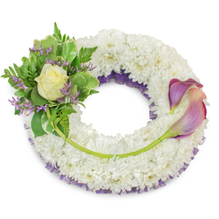 This elegant sympathy wreath is clearly the work of an experienced hand, the kind of piece we create and deliver around Tufnell Park and nearby Dartmouth Park. A plush, circular base of pristine white chrysanthemums is packed densely to form a soft, cloud-like foundation; their tiny florets catch soft morning light and suggest a quiet, comforting texture. Beneath those white blooms, a ruffled deep-purple mesh or fine netting is deliberately exposed along the inner circumference, lending subtle contrast and visual depth. On the upper-left quadrant a compact cluster becomes the arrangement's heart: a single, perfectly shaped cream-to-pale-yellow rose unfurls its petals amid a mix of fresh green foliage-broad variegated leaves edged in paler tones and delicate fern fronds that add a feathered softness. Scattered throughout the foliage are slender stems of lavender-purple statice, their tiny papery flowers adding a muted, sympathetic note of colour. Balancing this, a pair of curved calla lilies arcs across the right side; their trumpet forms fade from a rich, dusky purple at the tips into soft blush-peach toward the base, the long green stems tucked gracefully into the chrysanthemum bed. A longer green stem runs discreetly across the lower wreath, visually connecting the two floral groups and reinforcing a sense of unity. Presented against a bright white background, this wreath-prepared by Flowers Tufnell Park with local care-conveys calm, respect, and enduring remembrance for a funeral or memorial service in the area.