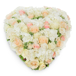 Hovering slightly overhead, this heart-shaped floral composition reads like a delicate whisper of affection-densely composed of ivory and creamy roses softened by billows of white hydrangea and dotted with pale peach and blush pink roses. The gradation of tone is deliberate: warm creams move into soft peach and then the most tender pinks, each bloom chosen for its size and stage of opening so that the texture alternates between tight, elegant spirals and open, ruffle-edged petals. The hydrangea clusters lend a cushiony backdrop that lifts the roses, while faintly variegated deep green foliage emerges subtly around the base and along the heart's lower curve, adding visual rest and a hint of fresh, leafy scent. Photographed on a pure white surface, the arrangement casts a subdued shadow that emphasizes its rounded volume and the florist's skilled shaping. The overall mood is one of calm compassion and thoughtful presence-perfect for conveying sympathy at a funeral, offering solace at a memorial service, or expressing quiet love on an anniversary. An experienced Tufnell Park florist might note how the palette suits both solemn and tender moments, and how its compact, seamless surface travels well for local delivery to homes, chapels, or nearby landmarks like Archway Road and Fortess Road. The design balances elegance and intimacy, a lasting impression of gentle care and botanical craftsmanship.