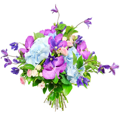 Set against a spotless white backdrop, this sumptuous bouquet appears almost to float, its colours and textures unfolding with the ease of a summer stroll through Tufnell Park. Generous heads of pale sky-blue hydrangea dominate the centre, their countless small petals forming soft, billowing domes that suggest calm and comfort. Woven confidently through this pastel base are striking fuchsia and deep violet orchids, likely Vanda or Phalaenopsis, their large petals patterned with fine speckles and veins that create a sense of luxury and rarity. These orchids bring a rich, velvety presence, the sort of detail an experienced local florist would coax into focus when designing a showpiece for a townhouse near Tufnell Park station. Nestled in between are tiny, perfectly formed spray roses in gentle pinks and creamy whites, each bud and bloom adding a tender, almost whispered note of affection. From the edges and crest of the arrangement, slender stems of deep purple clematis curve and climb, their star-like flowers and relaxed posture lending a slightly untamed, garden-picked feeling, as though gathered from a well-loved courtyard off Brecknock Road. A tapestry of lush greenery supports it all-shiny, broad leaves and smaller textured foliage that frame the flowers and deepen the contrast of blues and purples. The stems are carefully aligned and tied at the base, revealing a hand-tied construction designed for easy gifting and display. Bathed in soft, even light, the bouquet feels fresh and uplifting, perfect for marking a birthday, anniversary, or new home in the Tufnell Park area, or simply to bring an elegant splash of colour indoors.