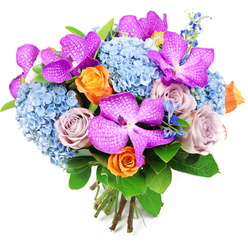 A richly coloured, hand-tied bouquet is captured against a plain white backdrop, allowing every petal and leaf to stand out with clarity, much like a floral still life from a Tufnell Park studio. Dominating the arrangement are several dramatic Vanda orchids in intense magenta and fuchsia tones, their broad petals intricately overlaid with fine white speckles that resemble a delicate lacework or tiled mosaic. These orchids sit proudly among lavish mounds of powdery sky-blue hydrangeas, whose countless miniature florets gather into generous, rounded clusters, creating a plush, cloudlike base that feels as soothing as a walk through the quiet streets around Tufnell Park station at dusk. Interspersed through this blue-and-purple harmony are roses in two distinct moods: vibrant orange blooms that spiral open with a lively, sunlit energy, and softer dusty lavender and mauve roses that bring a more reflective, romantic note. Slender spikes of deep blue accent flowers, reminiscent of tall delphiniums, peek through the main blooms, giving the bouquet vertical lift and a painterly sense of depth. Surrounding everything is a frame of rich green foliage, featuring broad, glossy leaves that provide contrast and a sense of freshness, like foliage after a light rain over nearby Dartmouth Park. The stems are gathered tightly at the base, clearly visible and neatly tied, forming a controlled domed silhouette that shows the careful hand of a professional florist. The bouquet radiates a feeling of joyful sophistication, perfect for celebrating an achievement, brightening a Tufnell Park dining table, or sending a luxurious, colourful message to someone special nearby.