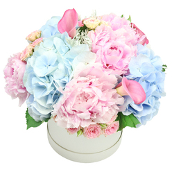 Calm as a soft morning in north London, this pastel bouquet rests in a clean white hatbox, its round silhouette cradling a gentle blend of pink and powder-blue tones. The hydrangeas form a cushiony, cloudlike backdrop, their pale blue clusters catching the light, while the pink peonies rise in lush banners of petal and glow. Interwoven are pale spray roses, their small blooms adding texture, and two calla lilies in a deeper rose shade arch gracefully, one toward the top-left and another toward the bottom-right. A touch of greenery-hydrangea leaves with a whisper of dusty miller-frames the bloom and adds a frosted glow. The arrangement forms a full, rounded dome, a quiet statement of elegance that sits with ease against the white surface. 

Delivered from Flowers Tufnell Park, this bouquet carries the mood of a calm, intimate celebration. It suits birthdays and anniversaries, a tender surprise for a new baby, or a heartfelt gift to brighten any home near Holloway Road, Archway, or Dartmouth Park. The pastel palette speaks softly of romance and reassurance, while the careful composition hints at local craft and a thoughtful approach to gifting. It reads as a sophisticated centerpiece or a heartfelt gesture, with a same-day delivery option to the surrounding districts. 

Touch the petals and you'll feel the velvet of the peonies against the satin finish of the hatbox, while the hydrangeas offer a cool, silk-like texture beneath them. The fragrance is gentle and uplifting-a light bouquet of tenderness and hope that suits celebrations or comforting moments. As a local florist who knows this community, I weave intention into every stem, choosing color harmony that reflects both modern taste and timeless grace. The result is a piece that lingers in memory, a confident expression of care from a Tufnell Park florist.