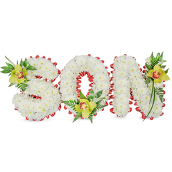 This dignified floral tribute reads SON in three-dimensional sculpted letters, each letter densely covered in small, immaculate white chrysanthemums that form a soft, pillowy surface. A vivid red ribbon is artfully looped along the outer edge of every letter, forming a scalloped border that contrasts sharply with the pure white blooms and gives the piece an understated, heroic accent. Nestled at the S, O and N are three lime-green Cymbidium orchids with pale yellow-green petals and a subtle reddish-brown marking in their throats; their waxy texture and refined shape provide a quiet focal point against the chrysanthemums. Interspersed throughout are elegant fern fronds and varied green leaves that create depth, gentle vertical lines and a natural frame around the letters. The tribute is shown on a neutral white ground beneath soft, even light that reveals the chrysanthemums' layered petals and the orchids' glossy surfaces without dramatic shadow. Designed as a funeral or graveside memorial, this composition speaks of love, dignity and remembrance - the red ribbon suggesting courage or deep affection while the white chrysanthemums convey purity. As a Tufnell Park florist I often prepare pieces like this for services near Dartmouth Park or for delivery to chapels around Archway; each is hand-secured to a supportive base with careful wiring so the three-dimensional form holds through transport. Flowers Tufnell Park can arrange similar personalised tributes, respecting scent, proportion and the quiet needs of bereaved families.