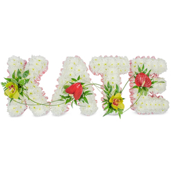 Set against a crisp white background, this bespoke funeral flower tribute spells the name KATE in bold, capital letters, each letter completely filled with tightly packed white chrysanthemums that form a thick, cloud-like surface. The petals create a gentle texture that feels both pure and comforting, reminiscent of the calm you find walking through local green spaces around Tufnell Park and Holloway on a quiet morning. A narrow band of pale pink satin ribbon traces the outer edges of each letter, neatly folded into soft ruffles that bring a tender, almost garment-like finish, as though the letters are gently wrapped in care. Bright accent blooms add colour and meaning: on the left side of the K and at the base of the T sit yellow-green cymbidium orchids, their distinctive reddish-brown throats and elegant, waxy petals standing proudly against deep green leaves and feathery fern fronds. On the A and E, red heart-shaped anthurium flowers with a glossy sheen appear among rich foliage, echoing the theme of enduring love. Slender green vines and curling tendrils sweep gracefully across the name, lightly connecting each letter so the tribute reads as one continuous, flowing piece rather than four separate shapes. The whole arrangement feels serene and thoughtfully composed, the kind of personalised sympathy display a family in Tufnell Park might choose for a funeral at a nearby chapel or crematorium, to express remembrance, affection, and gratitude for Kate's life with beauty that feels both contemporary and deeply respectful.