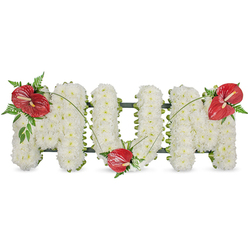 A carefully composed floral tribute spells MUM in elegant capital letters, each letter covered with hundreds of tightly packed, pristine white spray chrysanthemums that form a soft, voluminous surface reminiscent of fresh snowfall. The chrysanthemums' tiny layered petals create a subtle texture that invites touch, while their clean white tones suggest peace and respect. Beneath the blooms a discreet dark-green frame provides structure, visible as a thin outline between clusters and lending a graceful definition to each character. Three bold red anthuriums punctuate the white: one set on the upper left curve of the first 'M', another tucked into the lower hollow of the 'U', and the third placed on the upper right of the final 'M'. Their glossy, heart-shaped spathes and pale yellow spadices introduce warmth and a contemporary note; each anthurium is surrounded by sprays of fern and broad foliage, which add depth and a natural, almost woodland softness. Slender arching grass stems sweep from bloom to bloom, linking the red accents and guiding the eye across the piece. In soft daylight the white chrysanthemums glow while the anthuriums catch highlights, creating a calm yet intimate atmosphere suitable for a funeral or memorial service. As a Tufnell Park florist familiar with Junction Road and Fortess Road services, I arrange tributes like this with attention to proportion and scent-fresh flowers sourced from London markets-offered for local collection or delivery within Tufnell Park, Archway, and nearby Kentish Town when families seek a personal and respectful farewell.