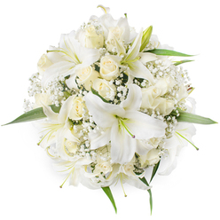 From a top-down perspective, this immaculate round bouquet reads as a study in refined white: broad, sculpted oriental lilies sit prominently at the centre with their wide, trumpet-like petals and pale greenish-yellow stamens, while clusters of creamy ivory roses-many still in tight bud-form plush, velvety clusters that soften the arrangement's silhouette. Interwoven throughout are delicate clouds of white Baby's Breath (Gypsophila), their fine sprays creating a light, frothy texture that cushions the larger blooms and allows the eye to move across the composition with ease. A few bright green leaves are tucked beneath and around the edges, offering a natural contrast that enhances the whiteness without overpowering it. The soft, even lighting reveals subtle tonal shifts where petals overlap, and in a couple of lilies you can just make out faint green and purple hints at the centre that add quiet depth. The scent is suggested even in the image: a clean, sweet lily perfume layered over the gentler, romantic fragrance of roses. As a piece of floral craftsmanship, it feels both formal and intimate-ideal for a bride carrying a classic bouquet, a sophisticated table centre at a local reception, or a thoughtful sympathy tribute. Prepared by florists who know Tufnell Park and its neighbours, this arrangement reflects a measured elegance favoured for ceremonies held near Tufnell Park Road, Fortess Road and the green calm of Dartmouth Park, and Flowers Tufnell Park often arranges similar bouquets for local occasions.