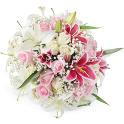 A densely packed, rounded bouquet of mixed lilies and roses fills the frame against a clean white background, creating an impression of lush elegance and soft celebration. Large, pristine white lilies dominate the arrangement, their trumpet-shaped blooms opening widely, each petal smooth and slightly ruffled at the edge, revealing pale green centres and neat yellow stamens. Between these luminous lilies, clusters of blush pink roses and warm cream roses are tucked closely together, some appearing as tight, hopeful buds while others are fully opened, with layered, velvety petals that suggest tenderness and devotion. Several striking fuchsia or magenta Oriental lilies rise from the composition like exclamation points, their rich colour and darker speckling drawing the eye to the heart of the bouquet, where golden anthers hold a dusting of pollen. Fine sprays of white baby's breath weave throughout, adding a feather-light, clouded backdrop that softens the stronger forms and gives the whole design a romantic, airy finish. Sparse, glossy green leaves frame the base, hinting at the stems below and balancing the pastel tones with a fresh, natural accent. The bright, neutral lighting makes every bloom appear crisp and newly arranged, as if it has just been prepared by an experienced florist in Tufnell Park, ready to be delivered along Brecknock Road or up toward Archway for a special occasion. The bouquet feels at once luxurious and welcoming, suited to marking an engagement, congratulating new parents in a local Tufnell Park flat, or simply bringing a sense of joy and beauty into a North London home.