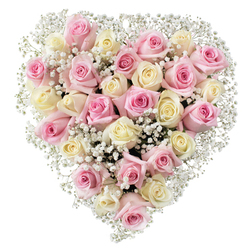 Radiating serenity and heartfelt emotion, this heart-shaped bouquet is thoughtfully arranged by skilled Tufnell Park florists, weaving together roughly thirty-five roses in the softest shades of pink and cream. The roses, varied in their gentle blooming stages, reveal beautifully curled petals and plush textures-lush and inviting to the touch. Nestled between the larger roses, airy clusters of baby's breath float, their tiny white blooms imparting a subtle brilliance and diffusing a dreamlike quality throughout the piece. The arrangement forms a pronounced, balanced heart that symbolizes enduring love and gentle remembrance. Soft natural light, like the morning glow that filters through the leafy streets of Tufnell Park, highlights each hue and nuance in delicate harmony. The local artistry on display makes this bouquet especially resonant for moments of tribute-such as funerals or memorials in the Highgate or Kentish Town area-while also offering warmth and consolation to families and friends. This floral tribute captures the spirit of Tufnell Park's close-knit community, radiating quiet support, appreciation, and care-whether delivered to a nearby home or placed with loving intention at a farewell gathering.
