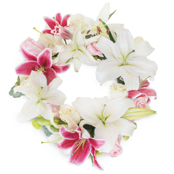 Standing out against a simple white background, this elegant wreath reflects the care and artistry of florists from Tufnell Park. A harmonious blend of luminous white Oriental lilies and vivid fuchsia Stargazer lilies creates a dynamic interplay of calm and vibrant colour. The white lilies, with their unfurled, star-like petals and gentle green accents, convey a profound sense of peace-a fitting tribute for remembrance ceremonies or moments of farewell. Scattered among them, the fuchsia lilies dazzle in shades of deep magenta, sprinkled with darker spots that draw the eye and infuse the arrangement with energy and warmth. Nestled closely, soft blush pink and creamy white roses-some delicately opened, others in tight bud-add a texture that is both luxurious and tender. Accents of muted green foliage, likely eucalyptus, emerge subtly throughout, softening the design and adding freshness that calls to mind the green corners of Tufnell Park itself. Seen up close, the flowers' petals have a silky surface and a suggestion of gentle fragrance, inviting solace and reflection. The precise circular formation-representing continuity and the cycle of life-makes this wreath ideal for funerals or as a comfort to grieving families in the Tufnell Park area, from leafy Laycock Street to busy Junction Road. Crafted with true compassion, this tribute embodies the thoughtful balance and respect that local families seek during times of loss.