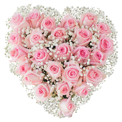 Imagine a perfect heart formed from a sea of soft pink roses, each blossom gathered close as if to protect a secret. The photograph captures a lavish, symmetrical heart, the frame filled from edge to edge with cushions of pastel petals that move from barely-there blush to slightly deeper rose-pink toward the centers. Some flowers sit as neat, tight buds with a satiny sheen; others have unfurled into tender spirals, their edges feathered and almost translucent under bright, diffused studio light. Nestled among them are innumerable sprays of white baby's breath - tiny, star-like blooms that float across the surface like breath on a winter morning, giving the heart an airy, cloud-like lift. The contrast between the denser rose shapes and the delicate filigree of Gypsophila creates gentle rhythm and depth, inviting touch and quiet reflection. The scent seems almost present: a soft, green sweetness edged with the faint, tea-like perfume of fresh roses. Compositionally, the arrangement shows careful craftsmanship - even spacing, a pleasing roundness to each rose cluster, and a clean outline that the white background emphasizes. This bouquet reads as a statement of tenderness and commitment, suitable for anniversaries, Valentine's Day, weddings, or to mark a tender farewell. It speaks of warmth and careful attention, an object made to be handed across a kitchen table on Junction Road or to arrive, respectfully and beautifully, at a bedside in the Dartmouth Park neighbourhood.