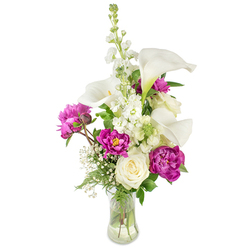 Seen against a clean white backdrop, this vase composition tells a layered story of texture and colour rooted in garden romance. Sleek white calla lilies rise like small sculptures, their smooth, porcelain-like petals curving to form elegant trumpets with pale yellow spadices that catch the light. Intertwined with those sculptural forms are lavish magenta peonies-deep fuchsia masses of ruffled petals that provide rich, tactile drama; two blooms are open and luxuriant while a compact bud suggests more unfolding beauty to come. Near the base a creamy white rose, its petals soft and closely coiled, offers a timeless note of sincerity amid the peonies' theatrical display. Fine clouds of baby's breath (Gypsophila) lace through the arrangement, their tiny white flowers creating a delicate, feathery halo that breathes light into the composition. A vertical element of white stock or larkspur adds gentle height and a textured column of small florets that balances the bouquet's width. Varied greenery-thin fern-like fronds and broader verdant leaves-forms a living backdrop that intensifies the bloom colours and gives the arrangement a natural, freshly-gathered charm. The clear glass vase, its water level visible, reveals the stems' layered architecture and reinforces a sense of authenticity and freshness. Picture this bouquet gracing a mantel near Fortess Road or arriving as a thoughtful gesture for someone stepping off the Tufnell Park tube: it smells of cool greens and soft florals, conveys celebration, comfort, and attentiveness, and reflects the careful craftsmanship of a florist who knows local seasonal rhythms and community moments.