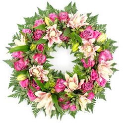 A large, opulent sympathy wreath is captured in full view against a pure white backdrop, allowing its colours and craftsmanship to be appreciated in fine detail. The arrangement forms a complete, unbroken circle, tightly packed with roses in vivid magenta, rich fuchsia, and gentle blush pink tones. Some roses are just beginning to open, their petals smooth and cupped, while others are fully expanded, revealing intricate, ruffled layers that suggest softness to the touch. Threaded through this ring of roses are elegant double lilies, their wide petals painted in creamy white, pale shell-pink, and hints of warm peach, with a few petals tinged with slightly deeper pink along the edges. Several lily buds, a fresh lime-green and still arrow-shaped, sit amongst the open flowers, introducing a fresh, living energy to the design. Around and beneath the blooms, abundant greenery forms a deep, verdant base: delicate fern fronds extend outward like gentle feathers, and sturdy, glossy leaves fill any gaps, ensuring there is no empty space in the wreath. The overall effect is lush and harmonious, with the bright greens setting off the warm pinks and creams beautifully. The wreath feels both romantic and serene, suited to expressing condolences at a funeral, cremation, or celebration of life service in Tufnell Park, near Dartmouth Park or around Holloway Road. Though the photograph is still, you can almost imagine the soft fragrance of roses and lilies, offering comfort and a sense of enduring remembrance to family and friends gathered to say goodbye.