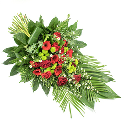 Set against a pure white background, this elongated sympathy spray unfolds in a graceful, tapering form that naturally draws the eye from one end to the other, much like a gentle procession. At the centre, rich dark red roses take pride of place, their velvety petals and varying stages of bloom capturing both the intensity of grief and the endurance of love. Interspersed among them are striking red gerbera daisies with deep-toned centres and clusters of ruffled red carnations, their layered petals adding depth and movement. Woven through this crimson heart are vivid lime green chrysanthemum pompons, almost glowing in contrast, each neat, rounded head introducing a contemporary feel and a glimmer of renewal. Soft white filler flowers, possibly tiny daisies or gypsophila, peek out between the larger blooms, lending an airy lightness that keeps the arrangement from feeling heavy. A generous halo of fresh green foliage surrounds the flowers: broad, glossy leaves reminiscent of salal, delicate fronds of leatherleaf fern, and an assortment of textured greenery form a rich, natural frame. To the lower right, long, blade-like leaves fan outward, echoing the gentle curve of the spray, while at the upper left, a precise bundle of tall green stems or leaves stands upright, one wide leaf elegantly wrapped around them to add structure and height. Designed by an experienced florist serving Tufnell Park and nearby Gospel Oak, this composition is ideal for a funeral, memorial, or tribute at a local chapel, expressing respect and quiet solace through balanced colour and form.