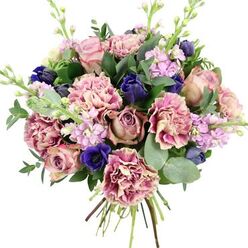 A richly detailed hand-tied bouquet seems to float against a spotless white backdrop, every blossom carefully placed to create a sense of gentle movement. At its core, large garden roses unfold in layered spirals of blush pink, muted mauve, and soft antique rose, their velvety petals evoking the timeless romance of a stroll through a secluded Tufnell Park garden in late spring. Among them, ruffled carnations bring volume and playful texture, with creamy centres softly washing into blush before deepening to plum-pink and fuchsia at their feathery edges. Deep indigo buds, reminiscent of petite tulips or closed anemones, appear like scattered gemstones, while a singular open royal blue anemone with an almost black centre offers striking contrast near the front, giving the bouquet a painterly focal point. Slender spires of lilac and pale lavender stock thread through the arrangement, adding height and a suggestion of a powdery, floral fragrance that feels both soothing and uplifting. The flowers are set within a lush collar of foliage: dark, glossy rose leaves and cool, silvery-green eucalyptus discs overlap and curve, suggesting a refreshing scent whenever the bouquet is lifted. Visible bundled stems at the base tell of skilled hands tying the design, as if just finished on a workbench in a flower shop near Tufnell Park station. The harmonious combination of romantic pinks, tranquil purples, dramatic blues, and fresh greens makes this arrangement ideal to send across Tufnell Park, Kentish Town, or Archway for occasions ranging from heartfelt congratulations to anniversaries or quiet, thoughtful condolences.