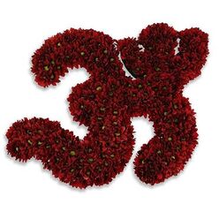 An intimate, reverent floral offering shaped into the sacred Om symbol, entirely composed of densely packed, deep red chrysanthemum blooms. Each blossom is small and multi-petaled, their velvety, garnet petals forming the elegant curves and counter-curves of the mantra's iconic glyph. Tiny, bright green centers punctuate many of the flowers, providing a calm, living contrast that breathes subtle definition into the symbol's contours. The arrangement sits against a stark white background that purifies the composition and allows the red to read as both solemn and warm; a soft, diffuse grey shadow beneath gives the impression of gentle elevation, as if the Om were suspended in quiet meditation above the surface. The craftsmanship is deliberate and tender - petals nested tightly to create smooth lines, yet with just enough organic irregularity to remind the viewer these are living flowers, not printed ink. As a florist in Tufnell Park who has prepared floral tributes for memorials and quiet ceremonies by the green spaces around Dartmouth Park and the tranquil corners near Tufnell Park tube, I picture this as an offering placed at a memorial table or within a healing room, where the deep red speaks of devotion and the chrysanthemum scent lends a delicate, earthy lift. The overall mood is one of solace, concentrated beauty, and respectful presence: a meditative emblem, handcrafted with steady hands and an awareness of ritual and comfort.