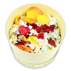 Captured from a slightly elevated angle, this image reveals a cream-coloured, round hatbox overflowing with carefully preserved petals, set against a crisp white background that keeps the focus on every subtle detail. The box itself is a soft, pale yellow-cream, with delicate lettering hinting at the word FLOWERS, giving it the air of a bespoke florist's gift rather than a mass-produced item. Inside, the petals are packed generously, rising above the rim like a small hill of colour and memory. Lush, velvety rose petals in deep crimson dominate the arrangement, their rich tones suggesting devotion, respect, and deep affection, so often at the heart of funeral tributes for families around Tufnell Park, Gospel Oak, and Kentish Town. Interwoven with the red are golden yellow petals and gentle peach-orange shades that feel like shafts of gentle sunlight, bringing a sense of warmth and hope to the composition. Scattered throughout are tiny white hydrangea-style florets, so fine and papery they almost resemble light snow resting on the richer petals beneath. Their clustered, cloud-like texture softens the vibrant colours, creating a soothing balance that would feel at home in a quiet remembrance gathering after a service at a local chapel or crematorium. The dried petals look crisp yet lovingly preserved, suggesting a delicate rustle when touched and a faint, lingering floral fragrance. This arrangement speaks to the idea of honouring a life with beauty rather than formality, offering families in Tufnell Park a gentle, contemporary alternative for scattering petals, decorating memory tables, or accompanying condolence flowers.