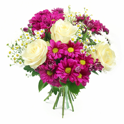 Set against a spotless, luminous white backdrop, this hand-tied bouquet appears as though it has just been lifted from a flower stall on Fortess Road and placed centre stage for close admiration. Dominating the design are generous roses in creamy white and the palest butter yellow, fully opened so you can almost imagine the silky coolness of each petal as it curls softly towards the heart of the bloom. Surrounding them are abundant fuchsia-magenta chrysanthemums, their daisy-like forms radiating from vivid chartreuse and yellow centres that add a playful sparkle, like scattered confetti. Threaded lightly through the arrangement, fine stems of tiny white daisies - reminiscent of chamomile growing in the quieter corners of Tufnell Park gardens - introduce a gentle, meadow-fresh feel, their petite golden centres punctuating the deeper colours. Here and there, smaller chrysanthemum buds in a deeper purple-pink shade peek through the main blossoms, creating layers of texture and giving the impression of a bouquet at the peak of its freshness. A collar of rich green foliage, with classic rose leaves and the broader leaves of the mums, frames the flowers and creates a sense of fullness without overwhelming the design. At the base, the visible stems are pulled together in a clean spiral and secured by a neat green and white checkered ribbon, adding a touch of rustic charm that suggests thoughtful, artisan craftsmanship. Bathed in soft, even light, every petal edge, vein, and shadow is clearly defined, giving this arrangement a feeling of polished yet natural beauty, ideal for sending warm congratulations, heartfelt thanks, or simple cheer to someone special in and around Tufnell Park.