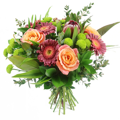 Set against a clean, bright white background, this hand-tied bouquet feels like a breath of fresh air drifting in from a leafy Tufnell Park garden. Generous peach and salmon roses form the soft, romantic core of the design, their petals unfolding in layered spirals that move from pale apricot at the outer edges to richer coral and orange tones toward the heart of each bloom. Threaded between them are bold Gerbera daisies in shades of deep magenta and wine-toned burgundy, their many slender petals circling lighter, textured centres that glimmer subtly under the studio lighting. Off to the upper side, a commanding King Protea provides a sculptural focal point, its artichoke-like bracts in maroon and reddish-brown finished with spiky, blush-pink tips, giving the bouquet a contemporary, almost architectural character that would sit beautifully on a table near Tufnell Park station or by the window of a townhouse off Fortess Road. Bright lime-green Santini chrysanthemums cluster in small, button-like spheres, filling the spaces between larger blooms with vibrant, zesty colour and playful texture. Around everything, lush greenery frames the flowers: wide, glossy leaves anchor the base, tall, blade-like foliage adds upward movement, and fine sprigs of eucalyptus with rounded, silvery-green leaves drift through the design, suggesting a gentle rustle and a cool, herbal freshness. The stems are neatly aligned and tied, clearly visible at the bottom, revealing the care and craftsmanship of a professional florist. The finished bouquet radiates warmth and modern elegance, perfectly suited to celebrations, thoughtful thank-you gifts, or brightening a home anywhere across Tufnell Park and the surrounding North London streets.