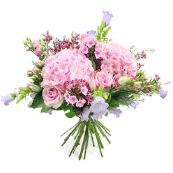 A softly romantic bouquet in shades of pink and lilac is shown against a bright white backdrop, making the colours and shapes feel almost luminous. Dominating the design are generous, rounded clusters of pale pink hydrangea, their many tiny petals overlapping like delicate tissue, creating a plush, cloud-like texture that immediately draws the eye. Between these voluminous blooms, light pink roses unfurl in varying stages, from tight buds with a hint of promise to fully opened blossoms that reveal their elegant spiral hearts. Rising and arching through the arrangement are bell-shaped lavender flowers, likely campanula, their slender stems and nodding blooms bringing a sense of lightness and graceful movement. Scattered throughout are clusters of smaller deep pink and fuchsia filler flowers, reminiscent of waxflower or miniature phlox, which lend depth, detail, and a touch of playful contrast. Fresh green leaves and slim, budding stems frame the pastel blooms, adding structure and a feeling of garden freshness, as though the flowers had just been gathered from a hidden courtyard near Tufnell Park's tree-lined streets. The stems are visible at the base, carefully aligned and bound in a neat hand-tied style, ready to slip into a vase on a kitchen table overlooking Dartmouth Park or a cosy flat off Lady Somerset Road. Soft, even lighting brings out the subtle variations in pink and purple, giving the bouquet a calm, uplifting mood. The overall effect is one of tender joy and quiet luxury, ideal for marking intimate celebrations, offering thanks, or sending a comforting, beautiful gesture across Tufnell Park.