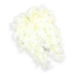 Set against a crisp white background, an exquisite pair of angel wings formed entirely from flowers and feathers creates a moving funeral tribute that feels both heavenly and close to home. Each wing curves softly inward, the inner surface densely packed with tiny white chrysanthemums and spray carnations, their rounded petals overlapping to build a plush, quilted texture. Subtle light green and pale yellow centres peek out from the heart of selected blooms, lending a quiet, natural variation to the white expanse, like sunlight glancing off the canopy trees in Tufnell Park. Around the silhouette, especially along the outer edges and tapered tips, a generous halo of soft, downy white feathers is arranged to follow every curve. These feathers appear fluffy and weightless, suggesting the gentlest movement, as though stirred by a whisper of air. The contrast between the crisp flower heads and the gauzy plumage gives the wings a striking three-dimensional quality, enhanced by a faint shadow cast onto the white surface below. This composition, so often chosen for memorial services and farewells in and around Tufnell Park, Kentish Town, and Archway, carries a strong symbolic message: purity of spirit, protection, and a serene passage into peace. The absence of strong colour keeps the focus on form, texture, and emotion, inviting quiet reflection. Looking at the arrangement, you can almost imagine it resting near the front of a small local chapel or beside a framed photograph in a family living room, silently offering comfort and the sense of a guardian presence close by.