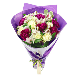 In this image, a beautifully composed bouquet stands upright against a pure white backdrop, its colours and textures echoing the relaxed yet vibrant character of Tufnell Park. The arrangement centres on creamy white roses, each bloom composed of tightly layered petals that gradually unfurl, suggesting poise and quiet elegance. These soft-toned roses are contrasted by clusters of deep magenta and fuchsia carnations, whose densely ruffled petals create a sense of movement, like ripples of colour you might notice in a flower stall near Tufnell Park station. Nestled between the larger blooms are white alstroemeria, sometimes called Peruvian lilies, with long, fine petals subtly streaked in pinkish-red and accented with dark stamens. Their markings introduce a delicate, almost feather-like detail to the bouquet. Glossy green leaves, mixed with a few variegated stems edged in pale cream, weave through the flowers to add freshness and shape, giving the arrangement a rounded, abundant form at the top that gently tapers down along the stems. The bouquet is wrapped with the care of an experienced local florist: an inner layer of crisp white paper forms a neat collar that frames the flowers, while a crinkled, translucent purple sheet flares out beyond it, adding depth, shine, and a festive note to the composition. At the base, a bright green satin ribbon, shot with an iridescent sheen, is tied into a careful bow, holding the stems securely. A small, light brown rectangular gift tag hangs from the knot, suggesting the personal message that might accompany same-day flower delivery to a loved one in Tufnell Park, Kentish Town, or along Dartmouth Park Hill. The overall feeling is one of cheerful refinement and heartfelt celebration.