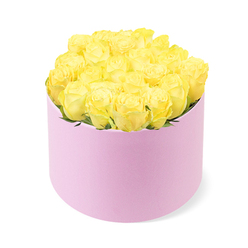 A chic floral hatbox filled with radiant yellow roses is photographed against a spotless white backdrop, creating a calm, gallery-like space where colour and texture do all the talking. The arrangement features roughly two dozen roses in full, flawless bloom, their petals layered in tight concentric circles that build up into a smooth, rounded dome of sunshine yellow. Each flower has a soft gradation of tone, from pale butter at the centre to richer, golden edges, so that the surface of the bouquet appears gently illuminated from within. The roses are closely nestled together, with only the slightest glimmers of fresh green foliage breaking through, giving the display a sense of plush density and careful craftsmanship. They are cradled in a round, pastel pink hat box with a matte, velvety finish that suggests the feel of fine suede under the hand, adding a quiet note of luxury. The blush-pink cylinder stands upright and symmetrical, its understated elegance complementing the cheerful blooms rather than competing with them. Soft, even lighting casts minimal shadow, allowing the yellow and pink to stand out vividly, reminiscent of the way flowers glow in the late morning light over nearby Tufnell Park gardens. The arrangement has a poised, contemporary character, the kind of gift you might imagine being delivered to a townhouse off Fortess Road to mark an anniversary, celebrate a promotion, or simply brighten a grey London afternoon. Every detail in this image reflects thoughtful design, from the tight, domed profile to the clean white surroundings, conveying a sense of modern romance and joyful sophistication in the heart of Tufnell Park.