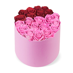 In the hands of a seasoned North London florist, this two-tone rose arrangement reads as a modern love letter. The deep red roses crown the top in a curved arc, while a generous field of bright fuchsia pink roses fills the lower area, all set within a soft pink velvet cylindrical box. The design is clean and intentional, with each stem spaced to maintain quiet abundance and breathing room. The petals coaxily unfurl in an almost creamy, satin-like texture, giving depth without crowding and a sense of careful craftsmanship. It feels like a gift made for celebrations, a fresh start, or a heartfelt surprise for someone special. The scent is light, sweet, and inviting, enough to hint at the blooms' freshness without overpowering a room. I'd recommend this piece for same-day delivery across Tufnell Park, nearby Camden Town, and the surrounding Camden cluster, arriving with the assurance of quality and consideration that every good florist strives to offer. It's a contemporary keepsake-elegant, uplifting, and perfectly suited to a coffee table moment or a quiet corner where joy might linger longer than a moment.