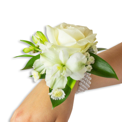 An elegant wrist corsage, photographed against a crisp white backdrop, centres on a lush, creamy white rose whose soft, overlapping petals open toward the light. Below and slightly left, a trumpet-shaped white bloom-likely an Alstroemeria or small lily-displays a faint green-yellow throat that gives contrast and draws the eye inward. Interlaced through the main blossoms are delicate sprays of Baby's Breath and several fresh green buds, some still closed, that promise continued bloom; a small cluster of daisy-style white florets with bright yellow centres sits near the lower edge, offering a charming punctuation. Broad, waxy dark-green leaves frame the flowers and provide a rich visual counterpoint to the ivory tones. The wrist itself is fair-skinned and relaxed, the corsage fastened by a chic multi-strand faux-pearl bracelet whose smooth, round beads reflect the soft studio light and lend a whisper of vintage glamour. The arrangement smells faintly of cut rose and green stems, a clean, leafy fragrance that suits both spring weddings and formal dances. As a local creation designed with Tufnell Park sensibilities-thoughtful, quietly refined-it would sit comfortably at a wedding in a nearby church, a prom on Fortess Road, or an intimate reception by the green spaces around Tufnell Park Road. Flowers Tufnell Park would recommend this corsage for its balance of classic structure and fresh, natural texture, available for careful, same-day preparation for events across the neighbourhood.