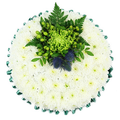 From a top-down view, this circular funeral tribute appears like a soft, snow-white cushion laid gently on a clean tabletop, the sort of design a family in Tufnell Park might choose for a calm, reflective farewell. The entire surface is densely packed with pristine white spray chrysanthemums, their countless petals overlapping tightly so that no gaps of foliage show through. Each small bloom has a pale greenish-yellow centre, adding a hint of colour that subtly warms the composition and gives a sense of living softness, as if the flowers might yield like down when touched. A folded emerald satin ribbon frames the edge, its pleated waves creating a decorative, scalloped border that glints slightly in the light, forming a refined contrast against the matte texture of the petals. Set slightly towards the upper centre, a vibrant cluster of greens forms the heart of the design. A striking lime-green spider chrysanthemum, with its long, curling petals, stands at the centre of this cluster, radiating energy. Around it, polished green Hypericum berries, diminutive green chrysanthemums, and deep green leaves mingle with elegant fern fronds, offering a sense of fresh woodland foliage. Tucked within this lush centre sit two compact, spiky Scottish thistles in dusty indigo-blue, their distinctive round heads and needle-like bracts bringing a strong, symbolic touch that may reflect a loved one's heritage or ties to Scotland. The tribute feels cool, composed, and quietly reassuring, a piece that would sit beautifully on a coffin or memorial table at a local service in Tufnell Park, Gospel Oak, or nearby Hampstead, conveying respect, remembrance, and gentle peace without a single word.