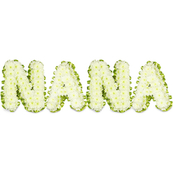 A lovingly crafted sympathy tribute spells out NANA in bold, three-dimensional letters, each formed entirely from tightly clustered white chrysanthemums that create a soft, tactile surface reminiscent of little clouds. The tiny, button-style blooms are arranged with careful repetition so the petals overlap uniformly, producing a dense, sculptural look that reads clearly from across a chapel or drawing room. Around each letter a crisp green border-composed of fresh foliage or ribbon-like leaves-frames the white blossoms, the vivid green offering a striking visual edge that keeps the letters distinct against the plain white background. The composition is lit with bright, even illumination which highlights the freshness of every head and the subtle shadowing between clusters, giving the whole tribute gentle dimensionality. You can almost sense the cool, leafy scent of the green trim and the mild, clean fragrance of chrysanthemum petals. As a local florist working from our workshop in Tufnell Park, Flowers Tufnell Park often assembles this type of display for funerals and memorials at nearby churches and halls on Fortess Road, Junction Road, or by the Tufnell Park tube, finding it particularly fitting for a grandmother - calm, respectful and understated. The piece communicates steadiness, remembrance and love: white for purity and peace, green for life sustained in memory. Technical details-densely wired heads, uniform trimming, and a neatly secured foliage border-speak to experienced hand-craftsmanship, meant to offer visual solace to grieving families in North London.