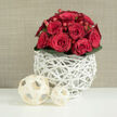 In this image, a compact, rounded arrangement of red roses commands attention, as if set ready on a wedding table in a quiet corner of Tufnell Park. The bouquet is densely packed, each rose a rich crimson, with petals that appear almost velour-soft, some just beginning to open and others fully blooming in generous spirals. Tucked among the flowers are clusters of small, bright red berries, likely hypericum, bringing a light-hearted, almost festive sparkle to the romantic composition. At the base, a neat ring of dark green foliage forms a natural border, the leaves glossy and slightly curved, supporting the blooms like a subtle green frame. The flowers sit inside an eye-catching white vase crafted from intertwining, twig-like strips that weave together to form a sculptural, basket-like lattice. This open structure allows glimpses of shadow and light to filter through, lending the piece a modern, airy character that feels well-suited to contemporary homes and wedding venues across Tufnell Park and nearby Kentish Town. In the foreground, two cream-coloured decorative balls made from thin wooden ribbons rest on a smooth white surface, their open, spherical forms visually linked to the vase and adding extra layers of texture. The background is softly lit, warm beige in tone, with a gentle, fabric-style grain that creates a sense of calm and warmth without distracting from the central bouquet. Together, the lush roses, playful berries, and sculptural container evoke feelings of devotion, celebration, and careful craftsmanship, perfect for wedding flowers, romantic gestures, or elegant event décor in North London.