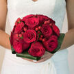 In this photograph, a generous bridal bouquet of red roses and berries is captured in soft, flattering light, like the muted sunshine filtering through a Tufnell Park bay window. Dozens of cardinal-red roses, each at its perfect point of openness, cluster together to form a rounded, almost sculpted mass of colour. Their petals are velvety and full, curling gently back from the centre to reveal rich layers that suggest depth, devotion, and the slow unfolding of a love story. Between the rose heads, red hypericum berries are carefully threaded, their smooth, bead-like shapes breaking up the expanse of petals and lending a sense of sparkle without needing any actual glitter. The contrast between the plush blossoms and the firm, glossy berries gives the bouquet a tactile richness-you can imagine fingertips brushing over textures that shift from soft to polished in a single movement. Around the outside, strong, dark green leaves-most likely aspidistra-have been folded and wrapped into a neat collar that encircles the bouquet, offering structure and a crisp outline, the way surrounding streets frame Tufnell Park's pockets of greenery. This collar of foliage keeps the abundant red flowers feeling considered and contemporary, a stylish choice for weddings in elegant townhouses off Fortess Road or in relaxed venues edging towards Kentish Town. The stems are gathered tightly beneath, suggesting a comfortable grip for the bride, firm enough to steady slightly trembling hands. There is an impression of fragrance-classic rose, fresh and slightly sweet-mingling with the quiet hum of a wedding morning, the bouquet waiting on a table before it is finally lifted and carried down the aisle.