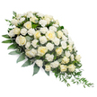 A refined white sympathy spray is displayed against a clean white backdrop, its shape forming a graceful tear-drop that rests diagonally from the upper left to the lower right of the frame. The head of the spray is lush and full, composed of many white and soft ivory roses that nestle closely together, some still in tight bud while others are fully open, exposing rosette-like petals that curl inward like gentle waves. Between these classic roses, clusters of white carnations appear in soft mounds, their finely frilled petals creating a rich, tactile contrast to the smoother rose blooms. The flowers are anchored by an abundant bed of greenery, where muted silvery eucalyptus leaves and deeper green foliage intermingle, weaving in and out between stems to create a layered, natural feel. On the right side, more elongated stems of ruscus or similar foliage trail and arch downward, subtly emphasising the spray's taper and bringing a sense of movement, as though the greenery is bowing in quiet respect. The lighting in the image is even and soft, enhancing the purity of the whites without harsh shadows, allowing every petal, vein, and edge to be gently defined. The overall impression is one of serene calm and considered craftsmanship, the kind of funeral tribute a Tufnell Park family might choose for a service at a local chapel or crematorium, perhaps after speaking with a florist who understands the area's understated elegance. The pure white and green colour story conveys sympathy, peace, and reverence, providing a comforting, living symbol of love and remembrance during a time of loss.