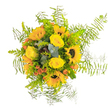 Gathered by a skilled Tufnell Park florist, this luminous bouquet captures the very spirit of sunshine and celebration. A generous cluster of golden sunflowers stand tall at the center, their deep, mocha-colored centers surrounded by layers of broad, vibrant petals. Plush yellow roses, tightly formed and exquisitely soft, nestle around the sunflowers, their color bright as morning light streaming onto Tufnell Park's classic terraced homes. Punctuating the yellows, bursts of orange-red berries or accent flowers add lively notes, reminiscent of the energetic community events at Tufnell Park's local gardens. Wisps of blue-green eucalyptus and thick sprays of fresh, leafy greens offer both scent and color contrast, blending with the soft, feathery edges of Asparagus fern that extend gracefully outward, creating a feeling of movement and airiness. This bouquet is more than flowers-it's an expression of warmth, crafted for joyful moments, heartfelt gratitude, or simply to bring a piece of neighborhood happiness into someone's home. The subtle fragrance of green stems and honeyed blooms hovers gently, while the artful interplay of bold sunflowers, plush roses, and intricate foliage creates a bouquet that feels like a sunlit embrace-a perfect reflection of community and care in Tufnell Park.