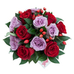 A densely packed, dome-shaped bouquet viewed from a gentle top-down angle against a clean white background, where about ten to fifteen fully opened roses form the heart of the composition. Deep, velvety red roses curl outward in perfect spirals beside soft lavender-mauve roses whose petals fan with a powdery, serene glow. Glossy, dark-green foliage - the smooth, slightly leathery leaves of ruscus or similar greenery - nests each bloom, giving the arrangement structure and a cool contrast to the warm florals. Bright orange-red rose hips or berry clusters are sprinkled throughout the blooms, their small glossy spheres catching light and adding an almost woodland, autumnal punctuation to the palette. A small white gift tag peeks from beneath the lower blooms, the word flower written in playful red script across its surface, suggesting a personal, hand-tied present. The lighting is soft and directional, as if early morning sun were grazing the petals, accentuating the velvety texture of crimson blooms and the delicate mauve undertones of the lavenders. Scents are implied - a heady, fruity-tinged rose perfume tempered by green freshness - and the overall mood is intimate, romantic and slightly wild, perfect for anniversaries, quiet reconciliations or a thoughtful birthday surprise. The arrangement reads as both refined and natural, with a tactile sense of weight and care; each stem appears individually chosen and positioned to create fullness without clutter. Local customers in Tufnell Park and nearby Dartmouth Park or Archway would recognise this measured, personal aesthetic - a bouquet that feels handcrafted for close, meaningful moments rather than a generic flourish.